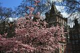 48-St.James Park,4 aprile 2010